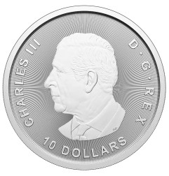 2 oz Bull and Bear pièce d'argent | 2025