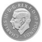 10 oz Tudor BeastsThe Bull of Clarence | Argent | 2023