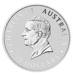 1 Kilo Koala d'Argent | 2025