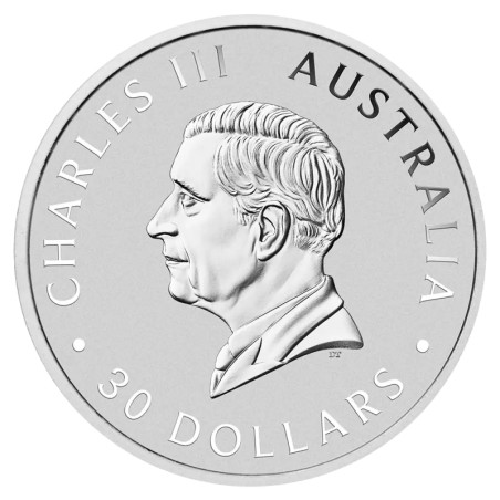 1 Kilo Koala d'Argent | 2025