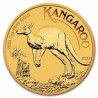 Kangourou