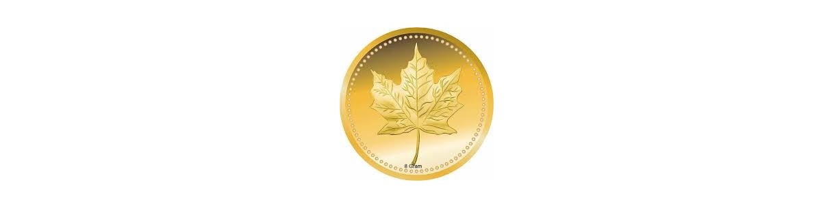 Mapple Leaf