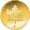 Mapple Leaf